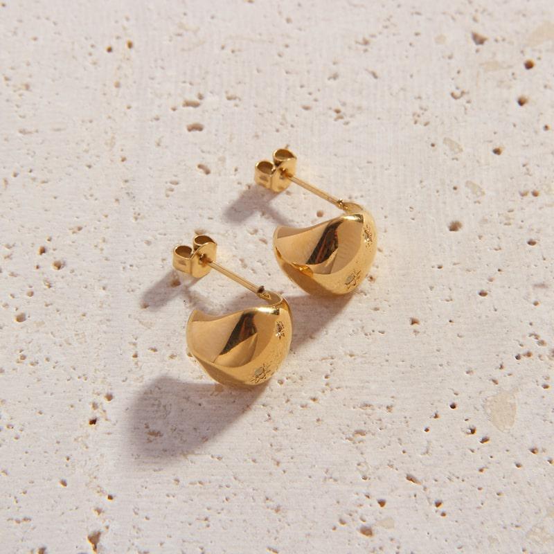 Armina Stud Earrings - Cali Tiger