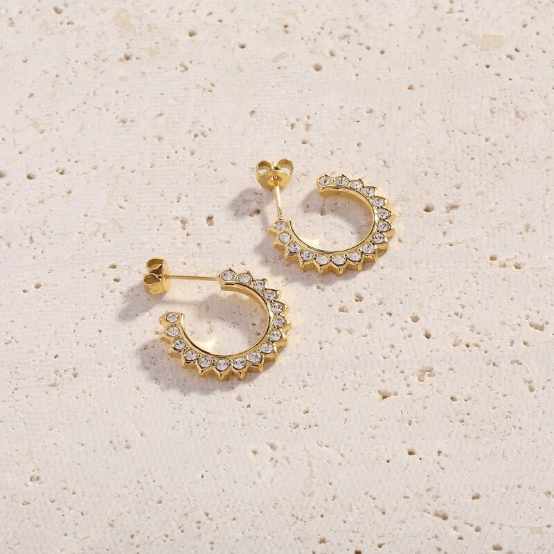 Dahnya Earrings - Cali Tiger